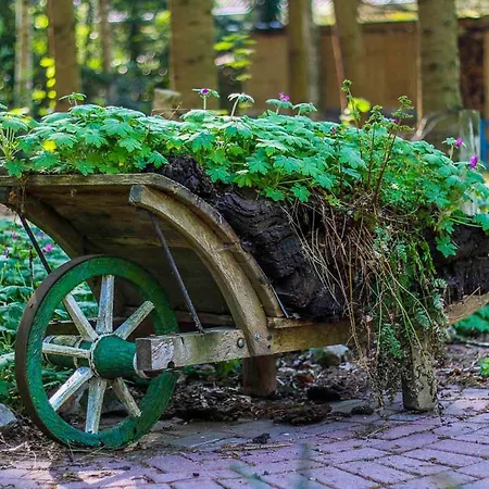 Апартаменты Schoon, 85042 Ostrhauderfehn