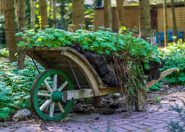 Apartman Schoon, 85042 Ostrhauderfehn